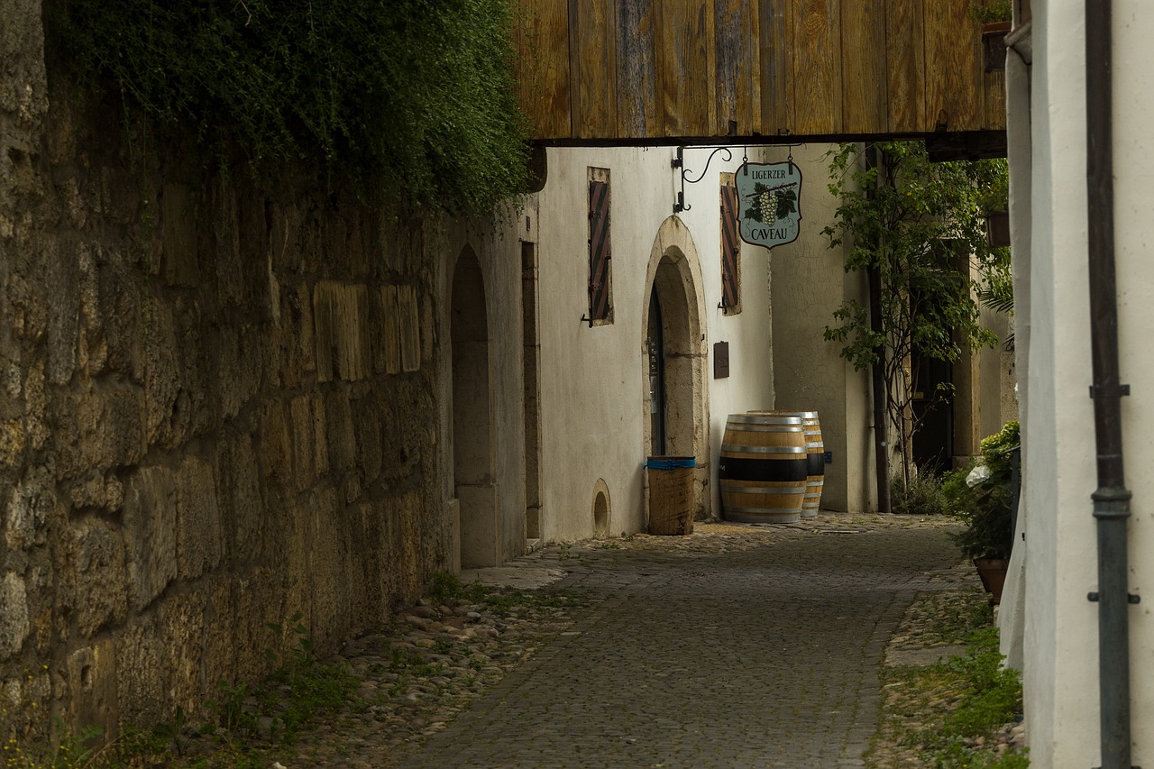découvrez les meilleurs conseils pour aménager votre cave à vin, choisir le bon équipement et préserver la qualité de vos bouteilles. apprenez à créer un espace dédié à votre passion pour le vin.